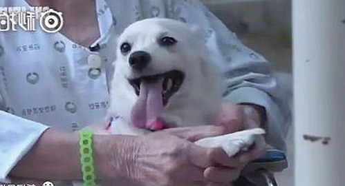 高清🈚码🔞❌♋免91最新版下载：探索最新内容资源