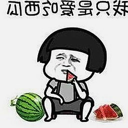 信阳市用户热衷体验：西瓜视频最新版下载带来的多彩娱乐