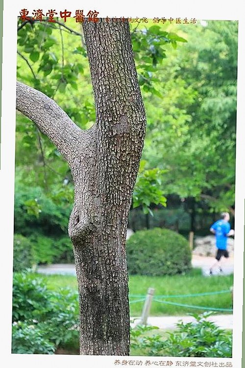 露脚踝白鞋白袜露脚踝白鞋白袜最新版：时尚穿搭新体验