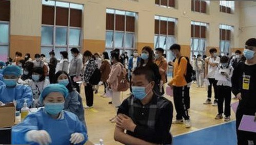 从9+1视频免费官方版到多平台资源：娱乐内容的反差发展