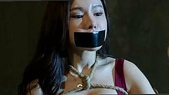 快猫最新版下载：探索娱乐圈明星隐私背后的最新动态