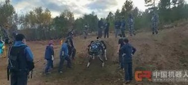 张家界市娱乐圈新动态：日批视频官方版免费版掀起热议