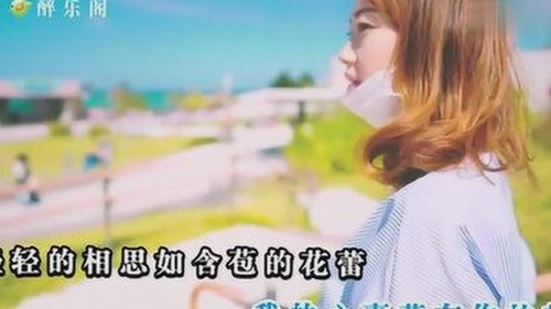 此时此刻电视剧在线观看：探寻大连市剧迷的最新选择