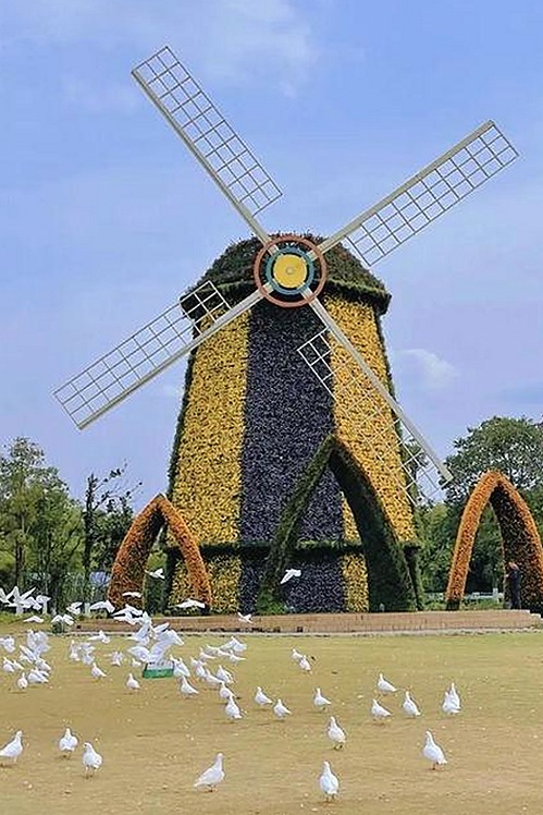 best365官网下载最新版本官方版大全：最新资源与玩法分析