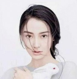 揭秘沧州用户如何便捷获取国产麻豆视频最新版下载