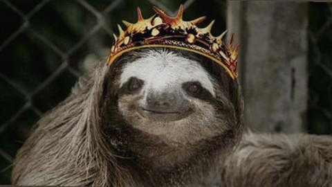 最新发布：91n官方版免费版带你畅享高清内容