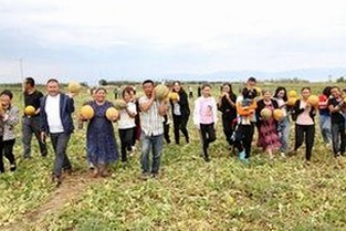 17.c.now,起草最新版：防城港市最新网络内容更新动态