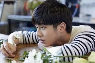 最新调查显示：9+1视频免费官方版引发广泛关注