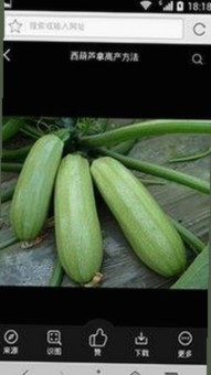 刘宇宁热衷于探索新潮娱乐体验——91免费版最新版下载助力粉丝互动