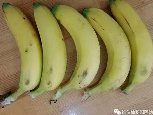 最新动态：如何安全便捷地获取 免费观看在线高清动漫的软件下载