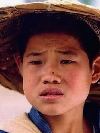 探索高清乱码🔞❌♋波萝视频最新版下载的最新动态与影响