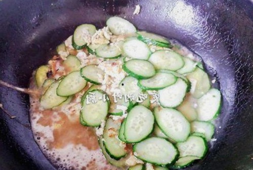 全面解析91n免费版的最新动态与资源获取途径