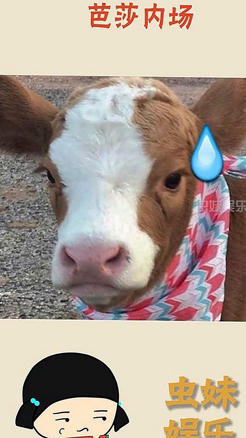 最新动态：撸撸射免费版下载引发热议，资源丰富多样