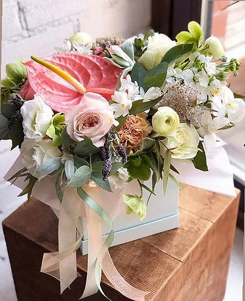 揭秘黑料吃瓜免费版下载：让你掌握最新娱乐内幕