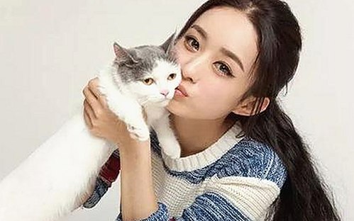 小🐔🐔伸进🈲🔞🔞官方版免费版：全方位解析及最新动态