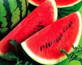 探索www91与免费版的最新发展及其影响