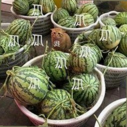 鲁鲁影院电视剧免费观看最新章节官方版免费版：畅享高清视界新体验