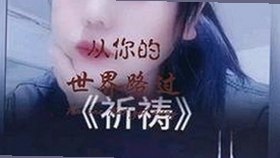 黄色91官方免费版：潍坊市相关内容解析与资源推荐