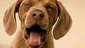 最新免费观看已满十八电视剧免费免费版官方版，了解幕后真相