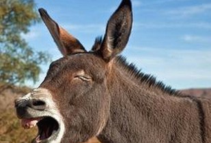 最新消息：黑料吃瓜网官方版正版下载成为娱乐圈热议焦点