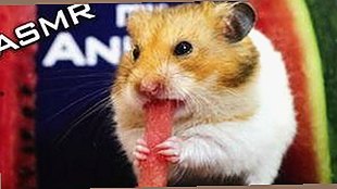 轻松享受：丫丫影院免费高清电视剧观看官方版下载，轻松在线看娱乐盛宴