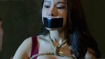 体验全新娱乐方式：91免费版带来的高清观影新体验