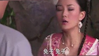 《乱公伦媳》欧美免费官方版：最新资源与下载指南