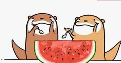 全面分析：9.1免费视频免费版官方版的最新动态与应用体验