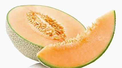 如何安全使用啪啪视频免费版及相关资源分析