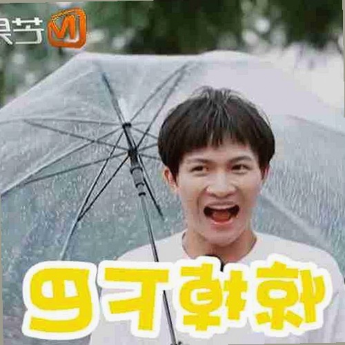 www91官方版正版下载：关于扬州副市长和副局长的关注点分析