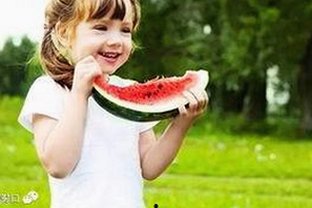 最新揭秘：永久mt660与免费版的实用选择指南