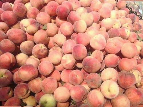 最新91禁🍆🍑🔞❌❌❌看片17cco最新版下载全攻略