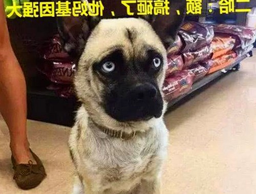 关于91视频网站的最新动态与内容资源分析