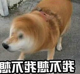 如何轻松获取 免费观看在线高清动漫的软件下载官方版下载体验
