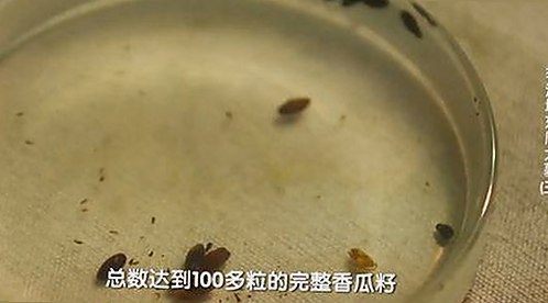 最新看片免费版带你直达精彩内容，体验多样互动玩法