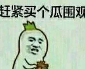 全面解析：91看片官方版下载的最新动态与应用场景