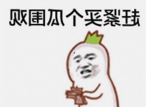 掌握最新资源：91免费免费版下载带你畅享多样娱乐体验