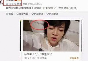 深入解析：www91终极手册的变迁与应用