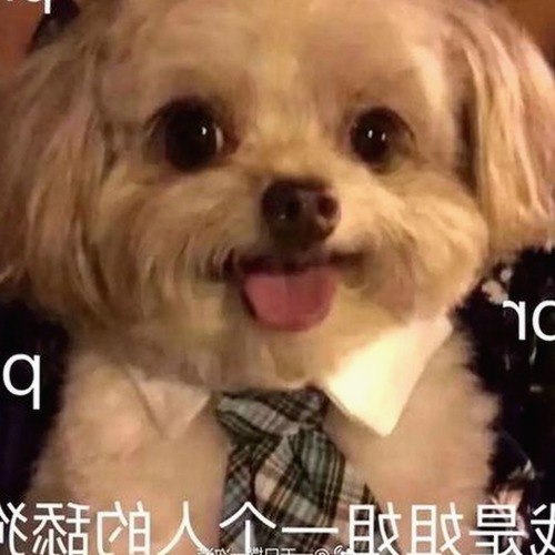 刘宇宁体验《ww我的快乐在哪里免费版》：看剧新体验的幕后故事