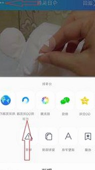 高清乱码免91官方版：追寻优质影视体验的最新选择