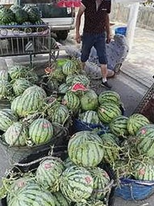 最新小🐔🐔伸进🈲🔞🔞A最新版下载指南，尽享高清体验