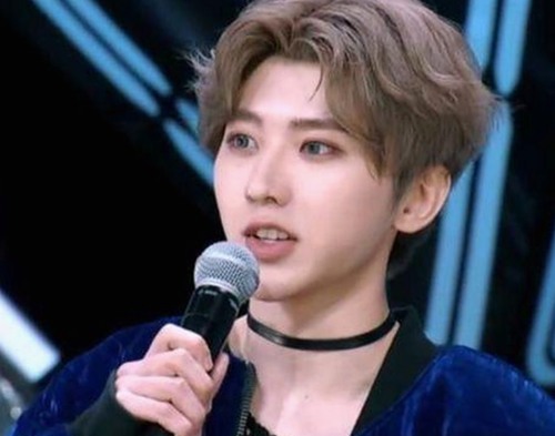 探索西瓜视频免费最新版下载：满足你的多样需求