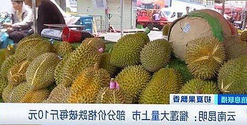 最新消息：7777最新版下载助你掌握第一手资源