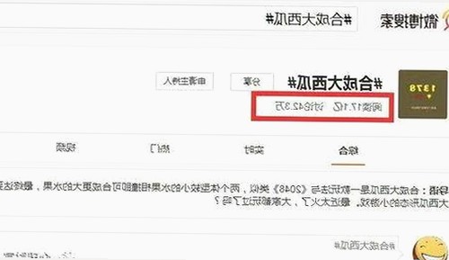 19岁大学生免费播放电视剧美国官方版：最新观影指南解析