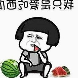 最新动态：www91官方版下载引领多样娱乐资源新潮流