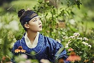 高清🈚码🔞❌♋免费菠萝视频官方版下载：现状与反思