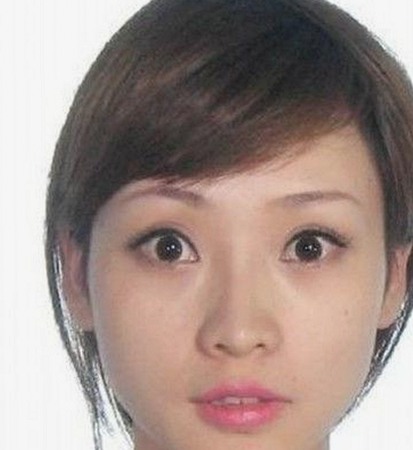小🐔🐔伸进🈲🔞🔞A官方版正版下载：探索最全资源与背景分析