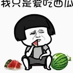 高清乱码🔞❌♋毛片入口官方版正版下载：最新资源全解析