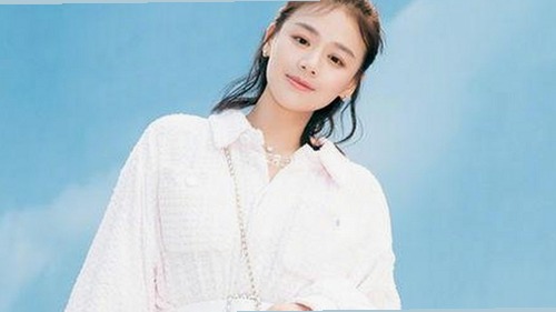 蘑菇视频官方版：探索最全的免费高清影视资源