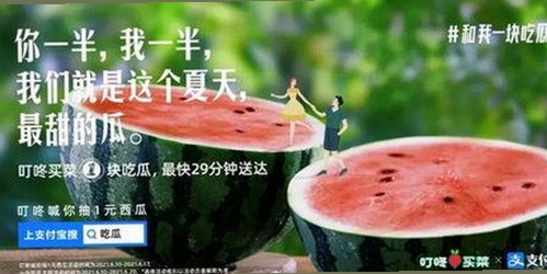 最新西瓜视频免费最新版下载带来多样观看体验